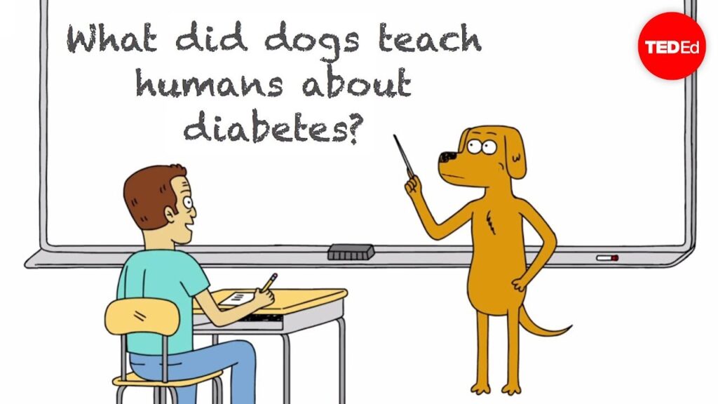 犬がインスリン発見に果たした役割：糖尿病の診断から治療へ