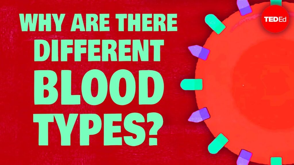 血液型の重要性：私たちの共通でありながら独自な血液の背後にある科学