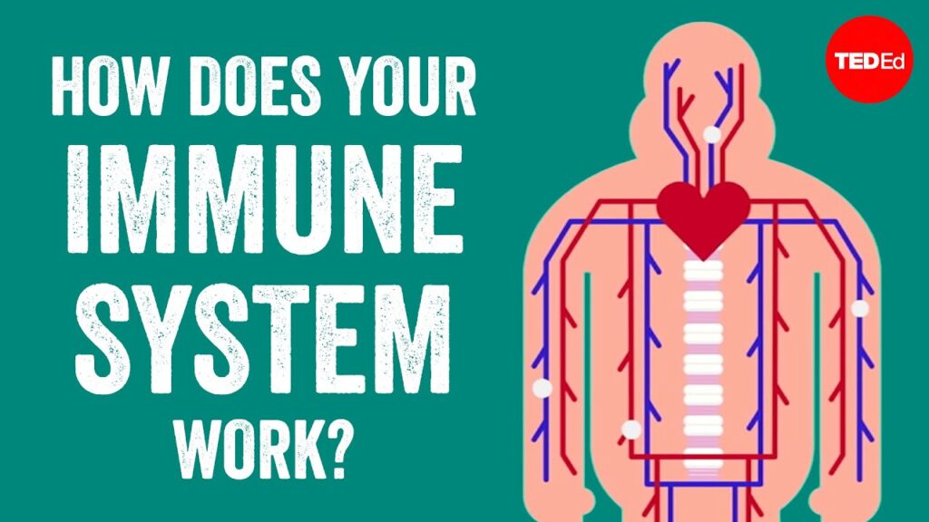 偉大な免疫システム：体が感染から自己防衛する方法