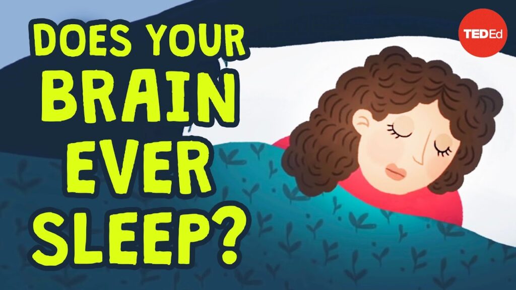 非対称睡眠の科学：動物が睡眠と警戒を両立する方法