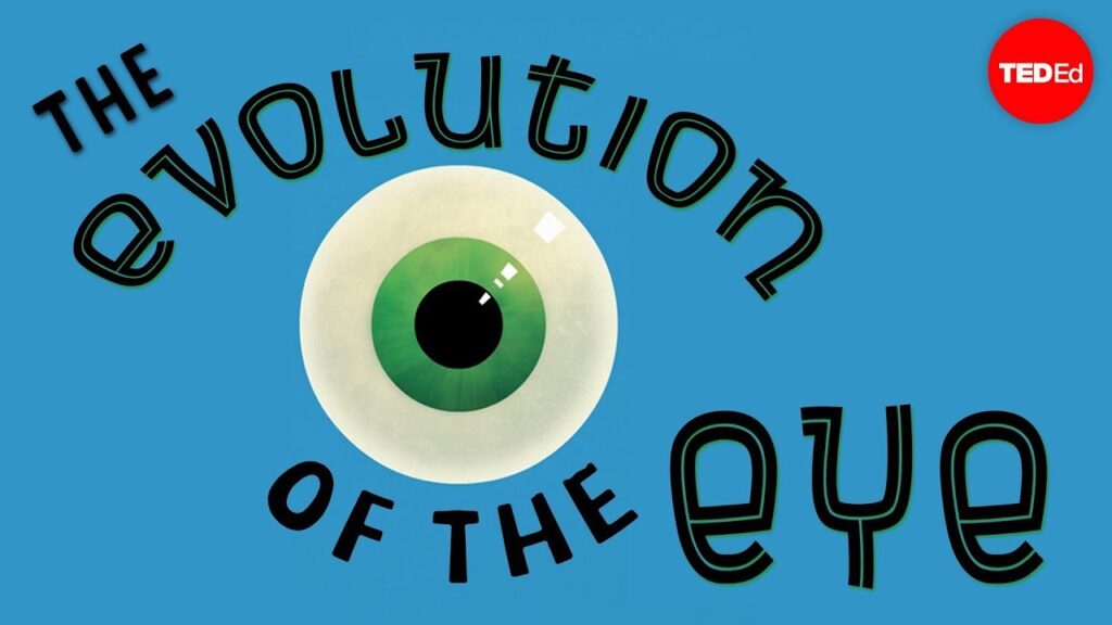 人間の目の進化：単純な光点から生体力学的なインプラントへ