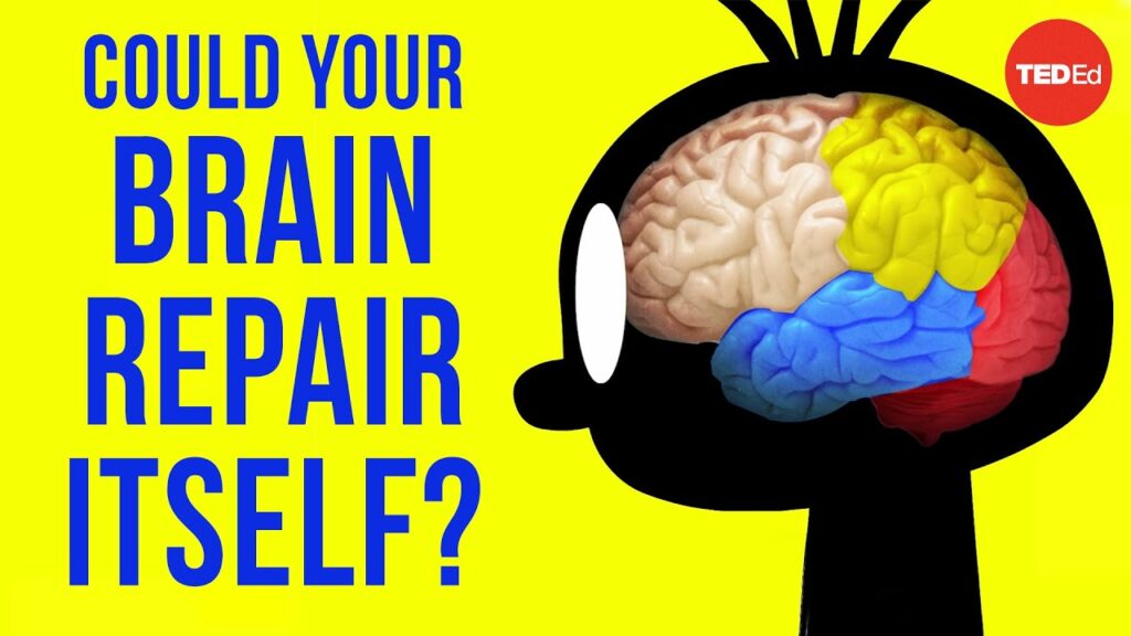 脳は自己修復できるのか？