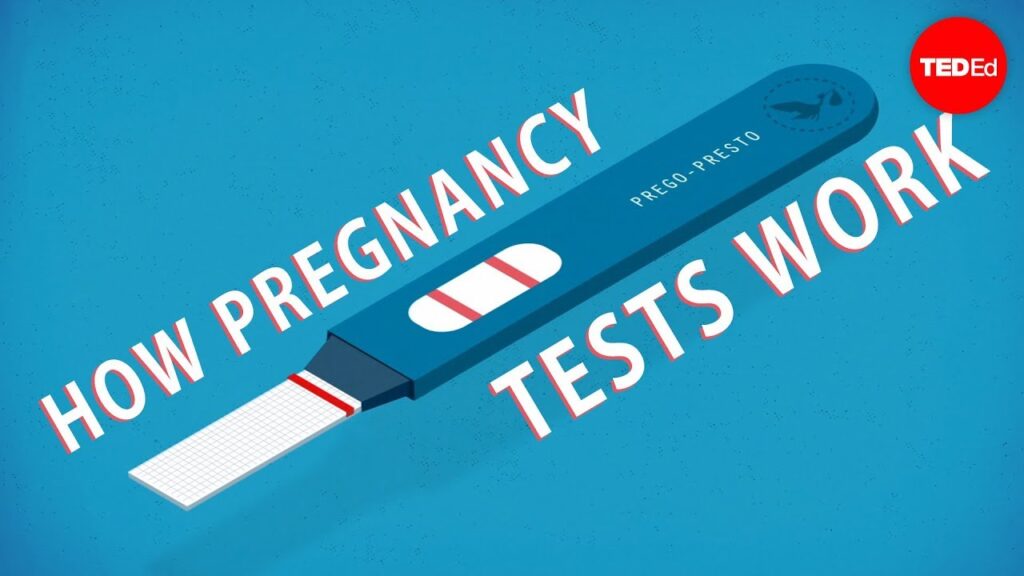 妊娠検査の科学：どのように動作するのか？