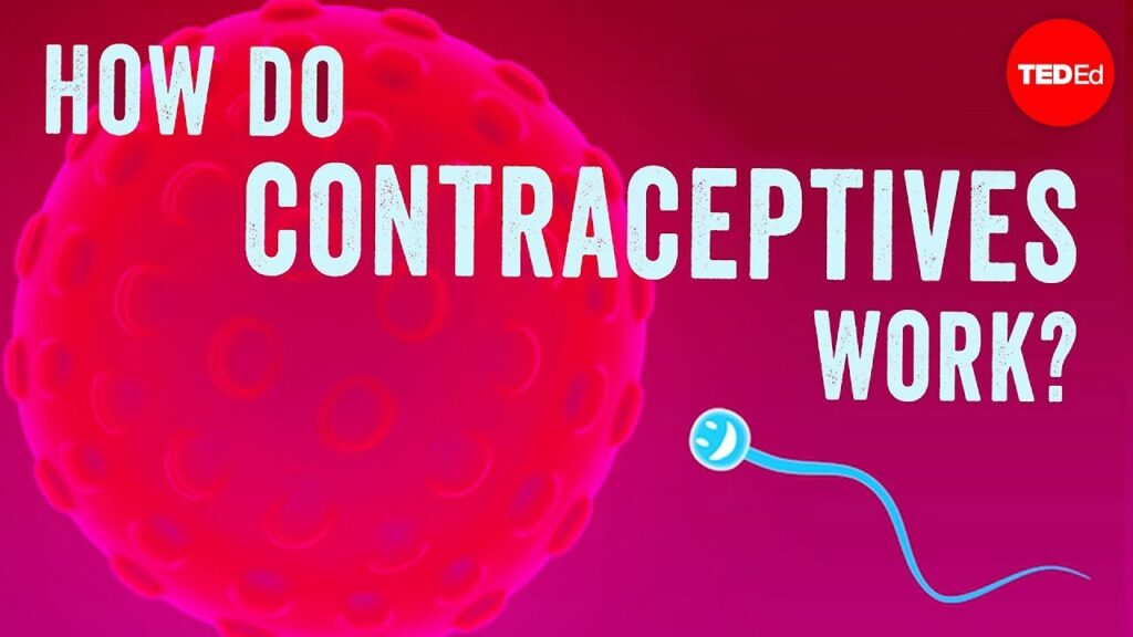 どのように避妊薬が作用するのか：ブロック、無効化、抑制方法の理解