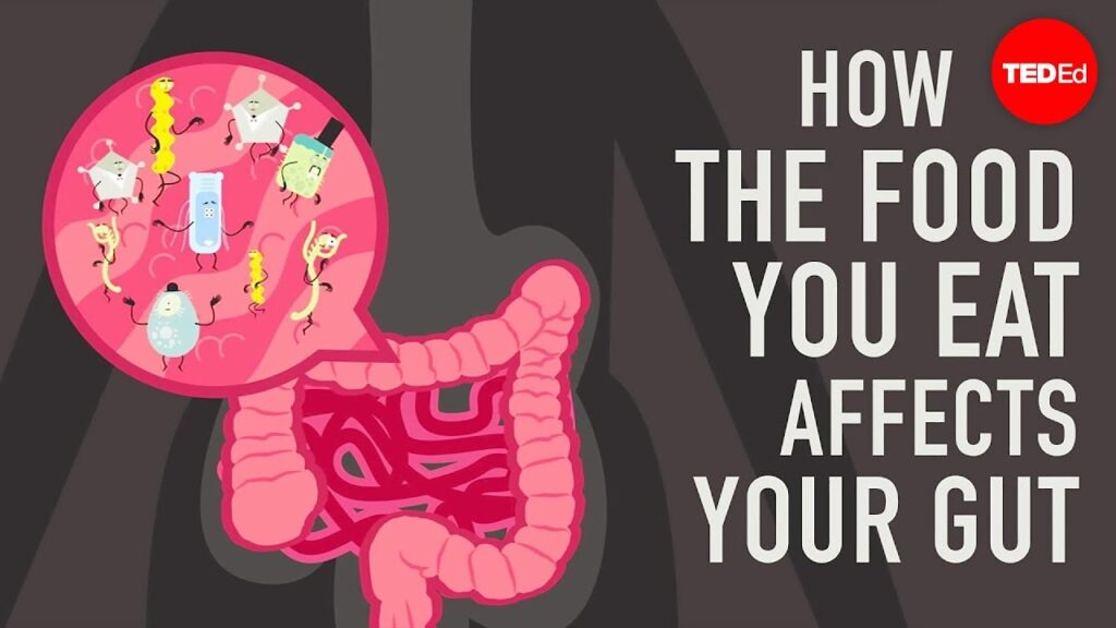 腸と脳の関係：健康なマイクロバイオームの重要性を理解する