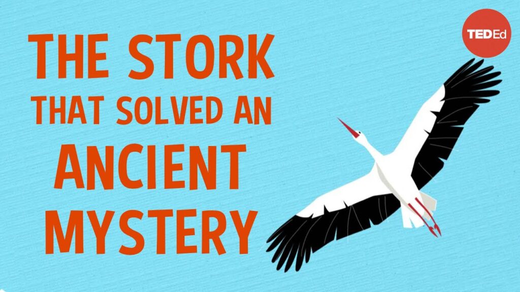 鳥の神秘的な渡り：古代の謎を解く