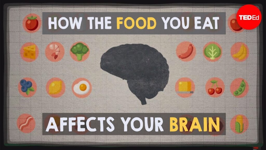 脳が構成される成分と食事の選択が及ぼす影響