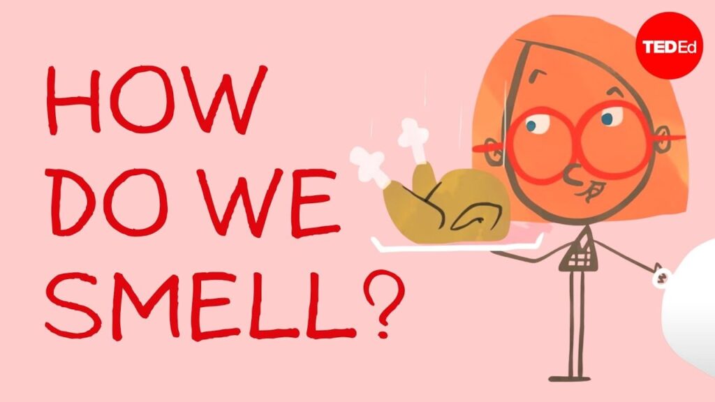 匂いの科学：あなたの鼻が異なる香りを感知する方法