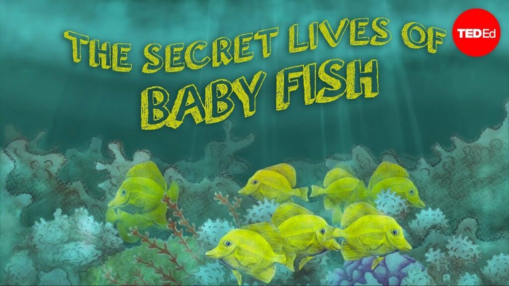 幼魚の秘密の生活：一生の旅