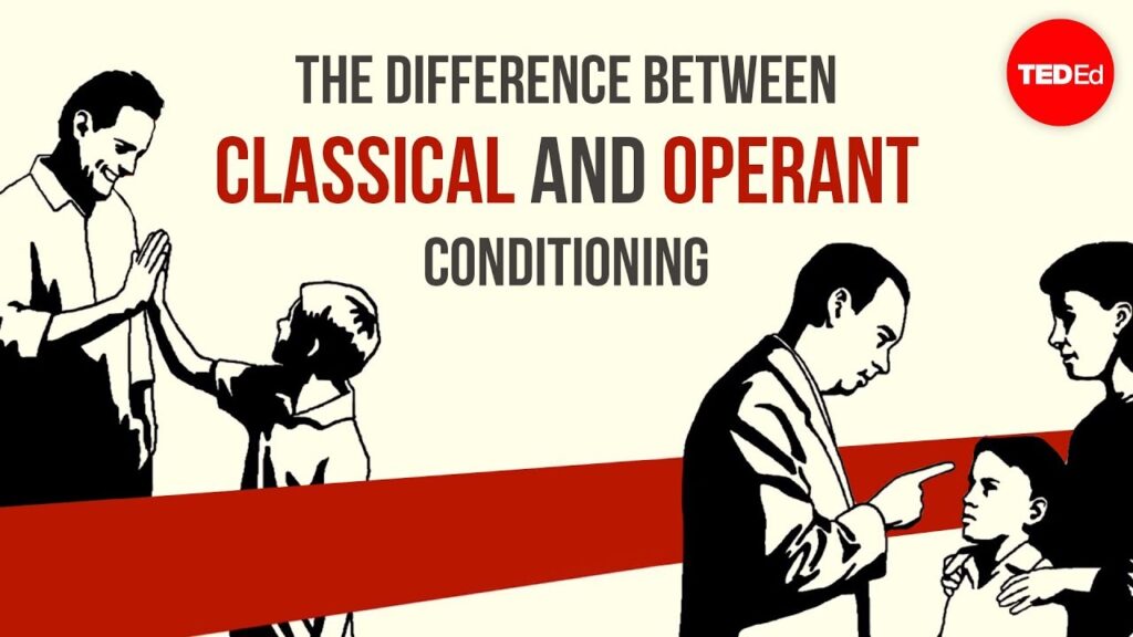 古典的条件付けとオペラント条件付けの理解：学習行動の深い掘り下げ