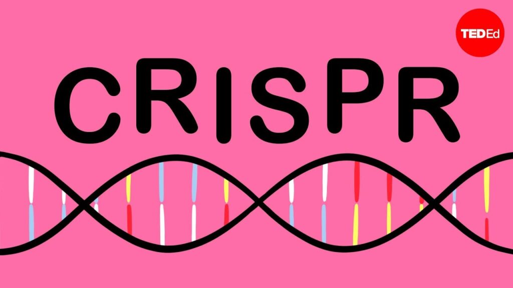 CRISPRの力：遺伝子編集